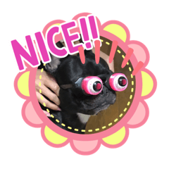 [LINEスタンプ] さくらぎ