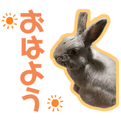 [LINEスタンプ] うちのとのくん2