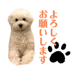 [LINEスタンプ] ポップさんの日常「第二弾」