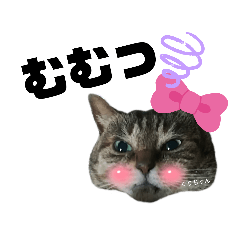[LINEスタンプ] みらいねこ横濱③