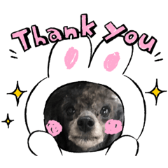 [LINEスタンプ] ペコの仲間たち