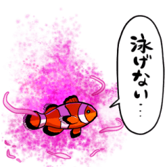 [LINEスタンプ] 闇堕ちカクレクマノミ