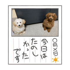[LINEスタンプ] おときな