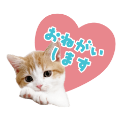 [LINEスタンプ] むくです。