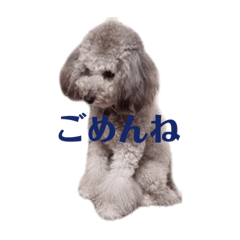 [LINEスタンプ] クーーーーピーー