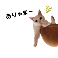 [LINEスタンプ] 塩八スタンプ