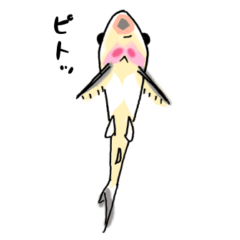 [LINEスタンプ] 愉快な淡水の生き物たち