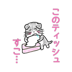 [LINEスタンプ] すこティッシュフォールド