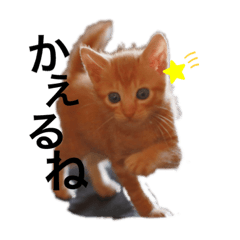 [LINEスタンプ] チャールズチャイ②