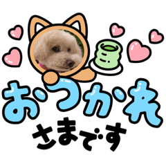 [LINEスタンプ] ティアちゃん＆リオくん2