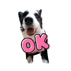 [LINEスタンプ] ぼぉだぁ