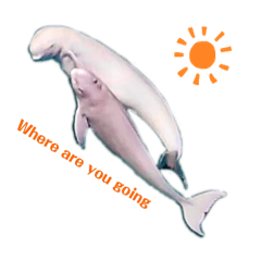 [LINEスタンプ] Life of wild finless porpoisesスナメリ