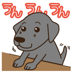 [LINEスタンプ] 黒ラブのゆずちゃん