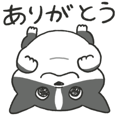 [LINEスタンプ] ボストンテリアのイギーちゃん！大接近編！