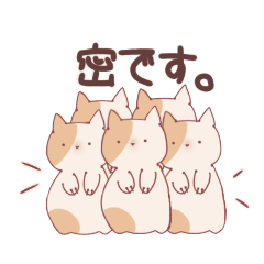 [LINEスタンプ] 密ですにゃんこ