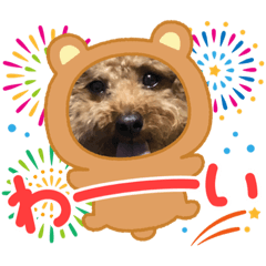 [LINEスタンプ] いいね超可愛い