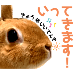 [LINEスタンプ] ペーモちゃんのスタンプ(行ってくるよ編)