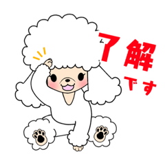 [LINEスタンプ] 白黒茶顔バリプードルちゃん