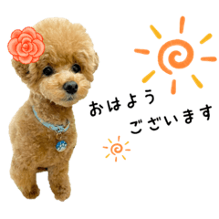 [LINEスタンプ] ペニ子☆日常語⑫