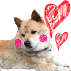 [LINEスタンプ] 犬のくう2