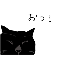 [LINEスタンプ] 3丁目のぬことうちのわんきち