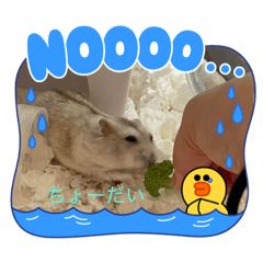 [LINEスタンプ] さくら大好きだよ