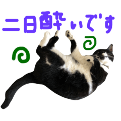 [LINEスタンプ] モルガナちゃんスタンプの画像（メイン）