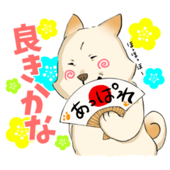 [LINEスタンプ] 白柴こてつの日常会話2