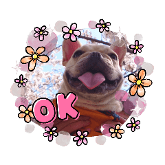 [LINEスタンプ] GAOGAO2