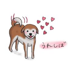 [LINEスタンプ] うれしば(柴犬)