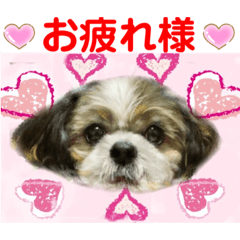 [LINEスタンプ] Smilewanの仲間達②