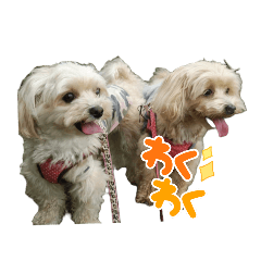 [LINEスタンプ] マルプー モコ＆リノ