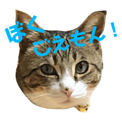[LINEスタンプ] ごえもん日和 13