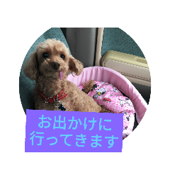 [LINEスタンプ] ワンちゃん好きにはたまらなくてかわいい