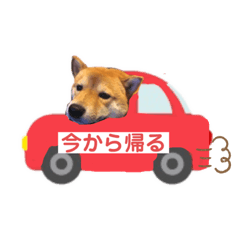 [LINEスタンプ] ここでぇす