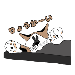 [LINEスタンプ] にゃむさんスタンプ