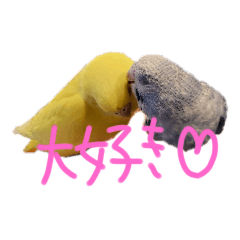 [LINEスタンプ] すけかく1