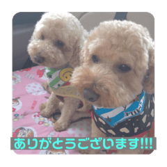 [LINEスタンプ] レオ レン