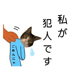 [LINEスタンプ] ふなこしさんちの犬さん猫さん