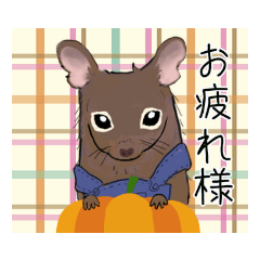 [LINEスタンプ] でぐでぐまめた