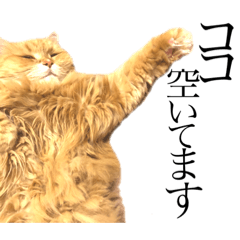 [LINEスタンプ] こふくスタンプ4