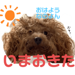 [LINEスタンプ] シャロンともっぷの日常なのよん2