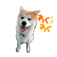 [LINEスタンプ] 秋田犬ビスコのスタンプ2