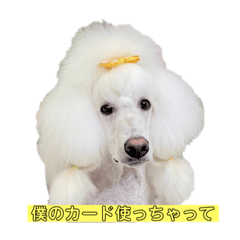[LINEスタンプ] タンプスタンプスタンプ2