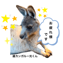 [LINEスタンプ] ふれあい動物園のみんなPart 2