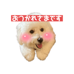 [LINEスタンプ] くれちゃんのすたんぷ2