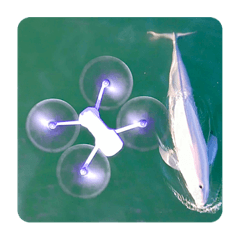 [LINEスタンプ] DRONEを空撮 with スナメリと海の仲間達