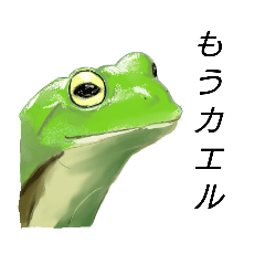 [LINEスタンプ] 両生類好きのためのスタンプ