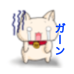 [LINEスタンプ] かわいいネコの日常