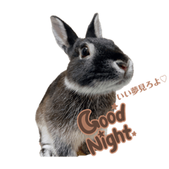 [LINEスタンプ] ミンチョップ